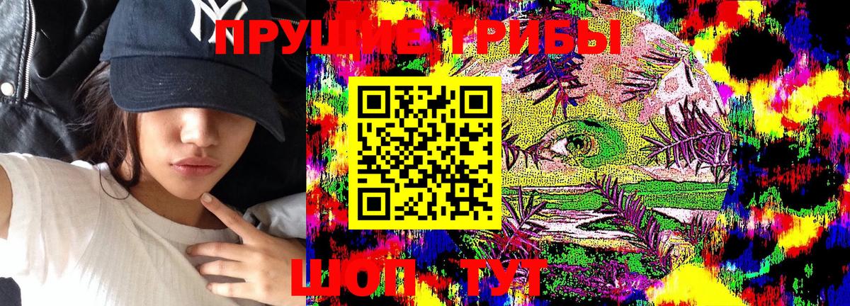 Зима  Псилоцибиновые грибы прущие грибы  Псилоцибиновые грибы Magic Shrooms  Вход с VPN 